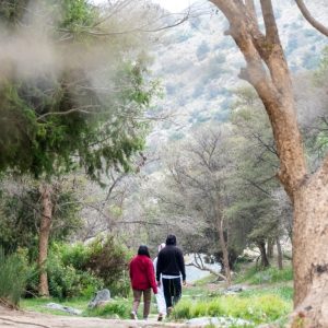 In Hike to the Ain Jamal Waterfall Recently Added Experiences